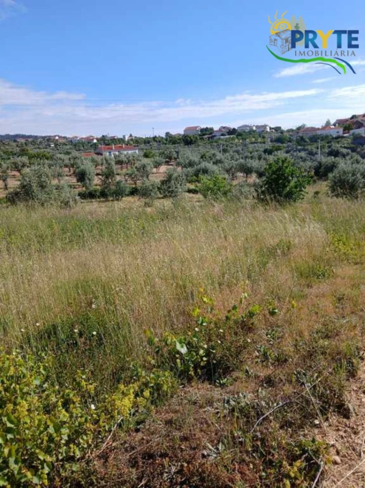 Terreno para Venda em Montes da Senhora Foto 8