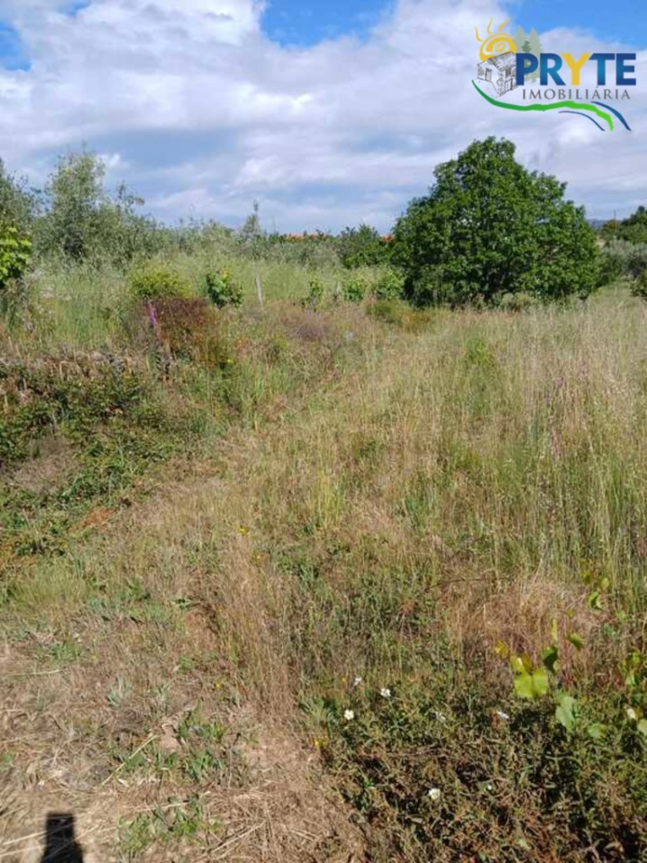Terreno para Venda em Montes da Senhora Foto 10