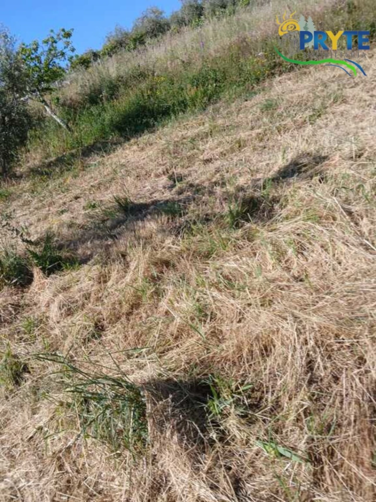 Terreno para Venda em Montes da Senhora Foto 15