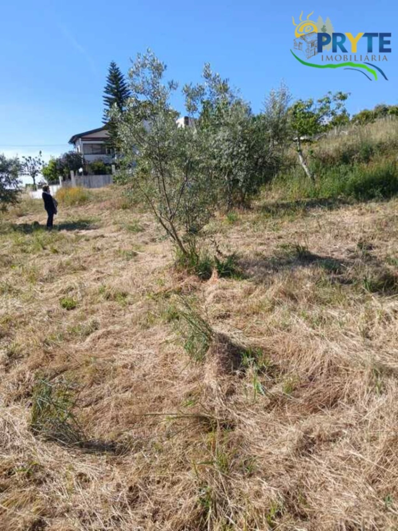 Terreno para Venda em Montes da Senhora Foto 16