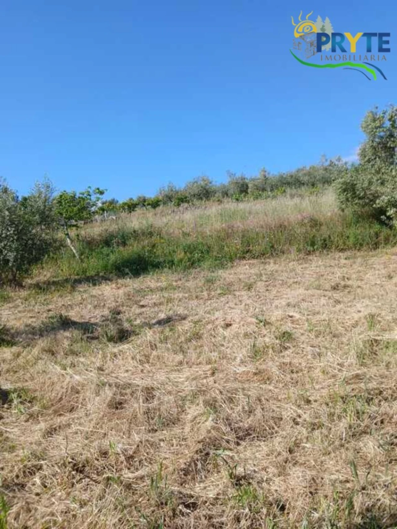 Terreno para Venda em Montes da Senhora Foto 17