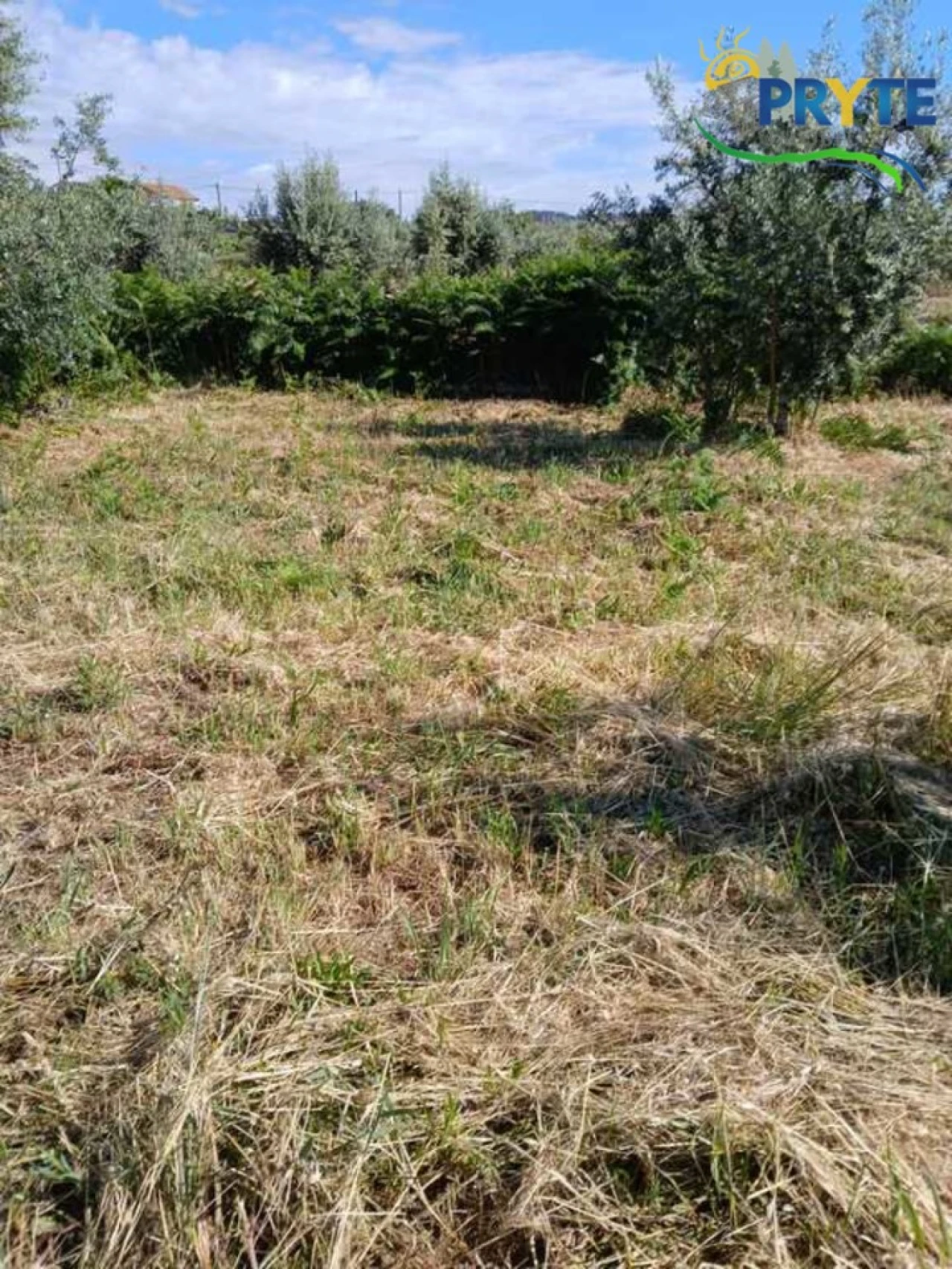 Terreno para Venda em Montes da Senhora Foto 21