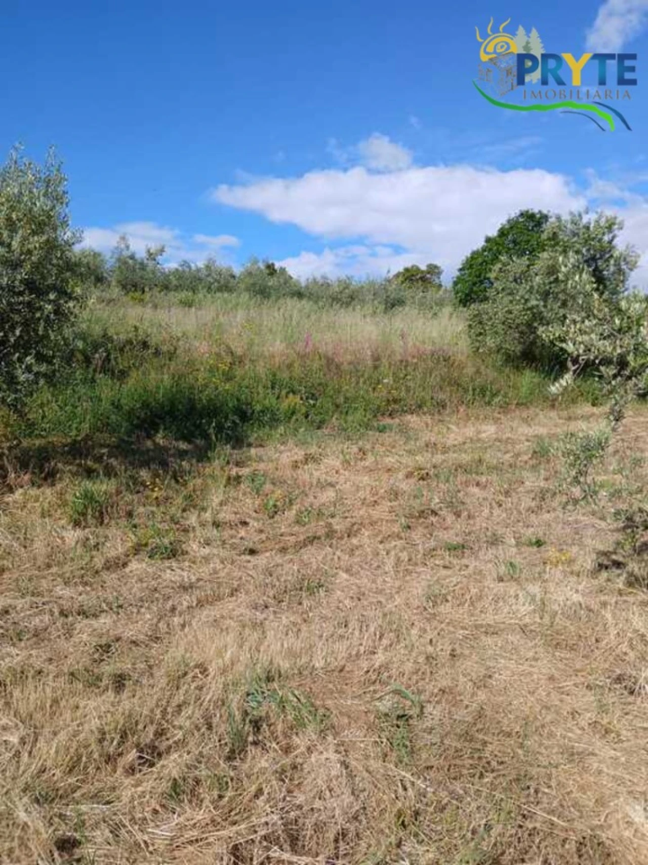 Terreno para Venda em Montes da Senhora Foto 23
