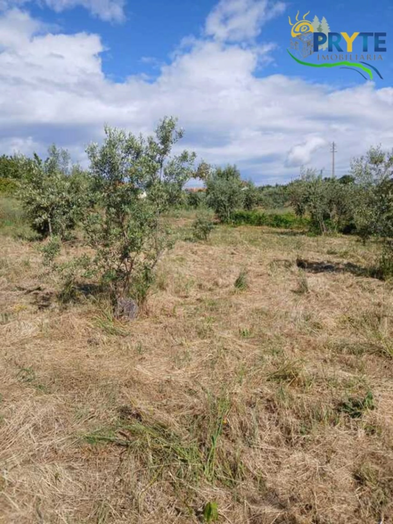 Terreno para Venda em Montes da Senhora Foto 24