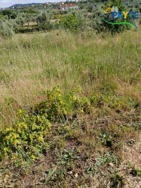 Terreno para Venda em Montes da Senhora