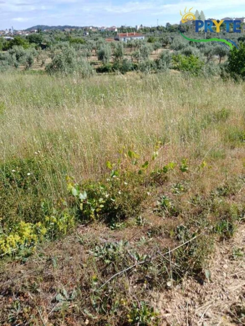 Terreno para Venda em Montes da Senhora