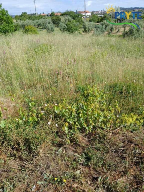Terreno para Venda em Montes da Senhora
