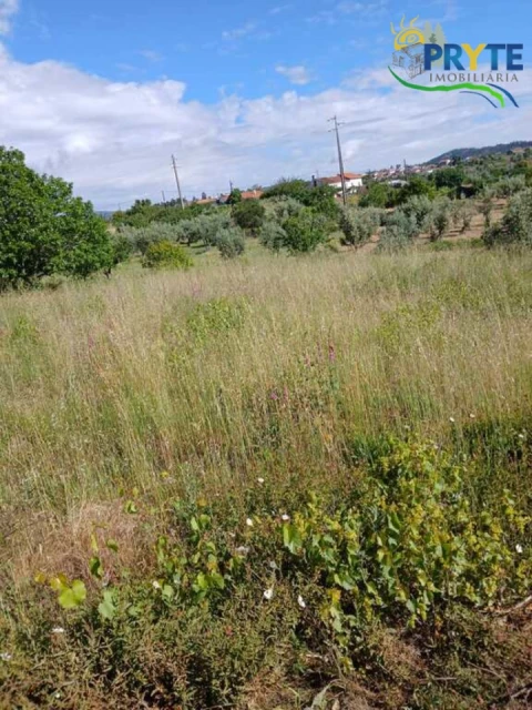 Terreno para Venda em Montes da Senhora
