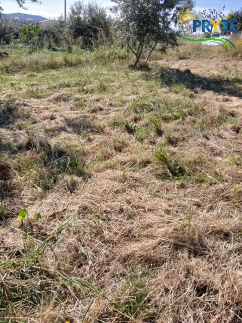 Terreno para Venda em Montes da Senhora