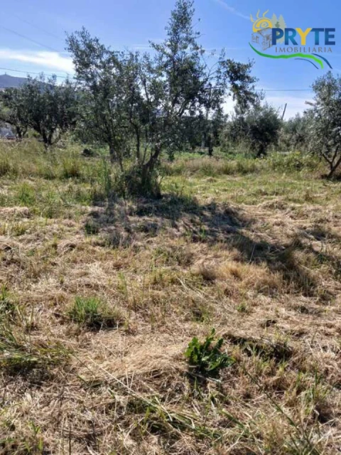 Terreno para Venda em Montes da Senhora