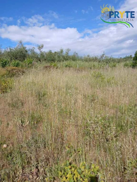 Terreno para Venda em Montes da Senhora