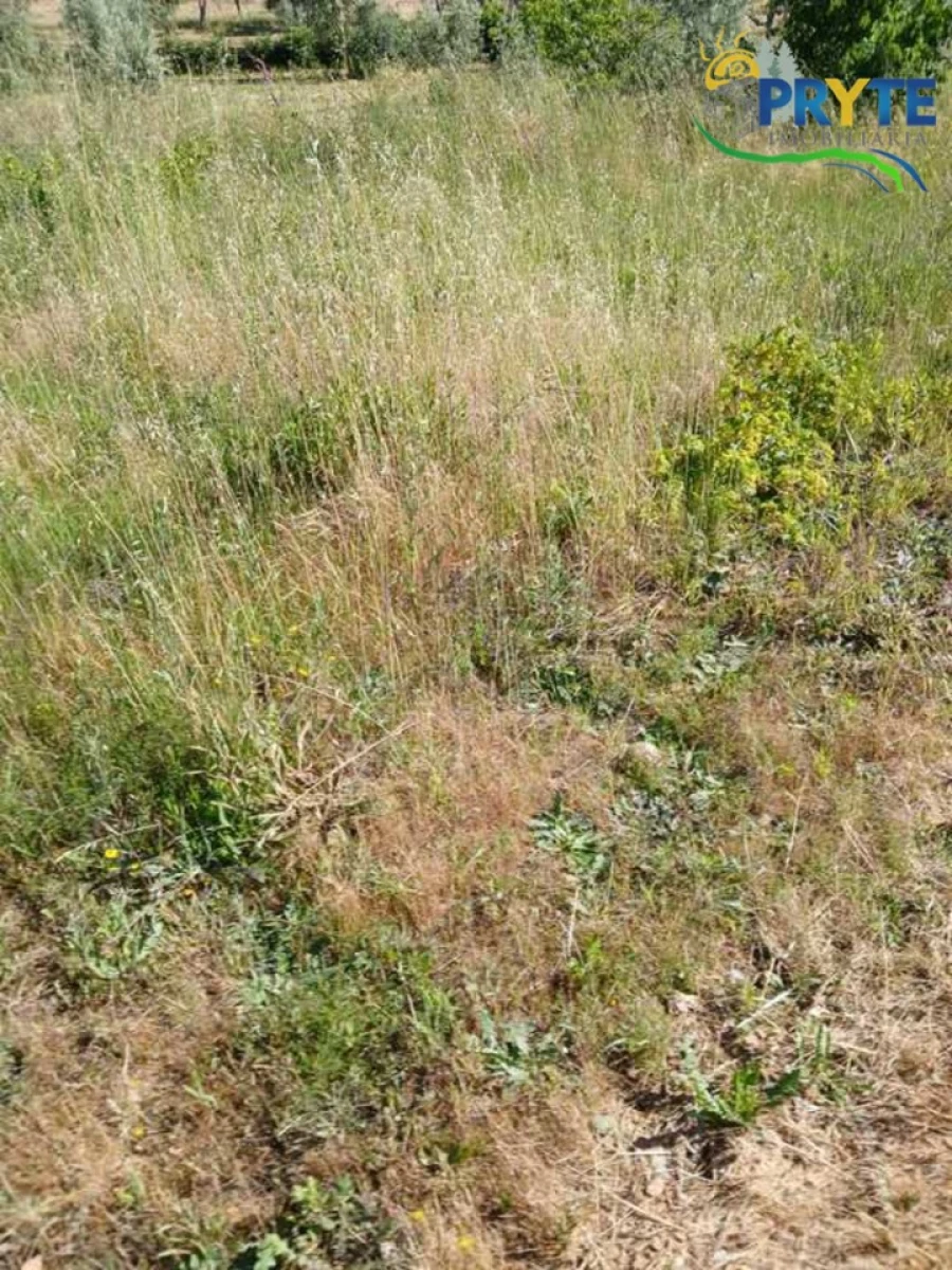 Terreno para Venda em Montes da Senhora Foto 3
