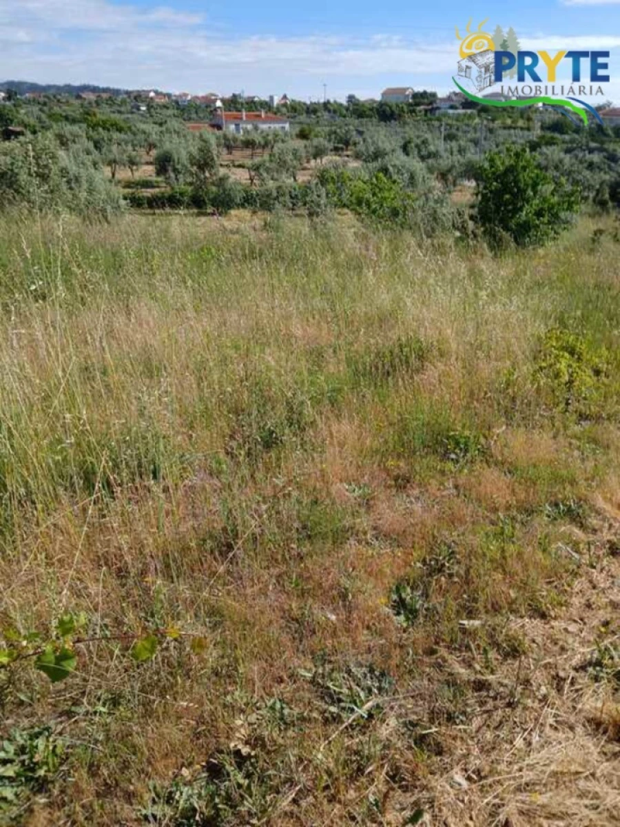 Terreno para Venda em Montes da Senhora Foto 4