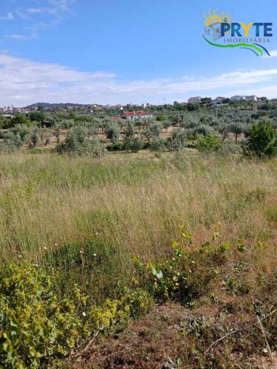 Terreno para Venda em Montes da Senhora Foto 7