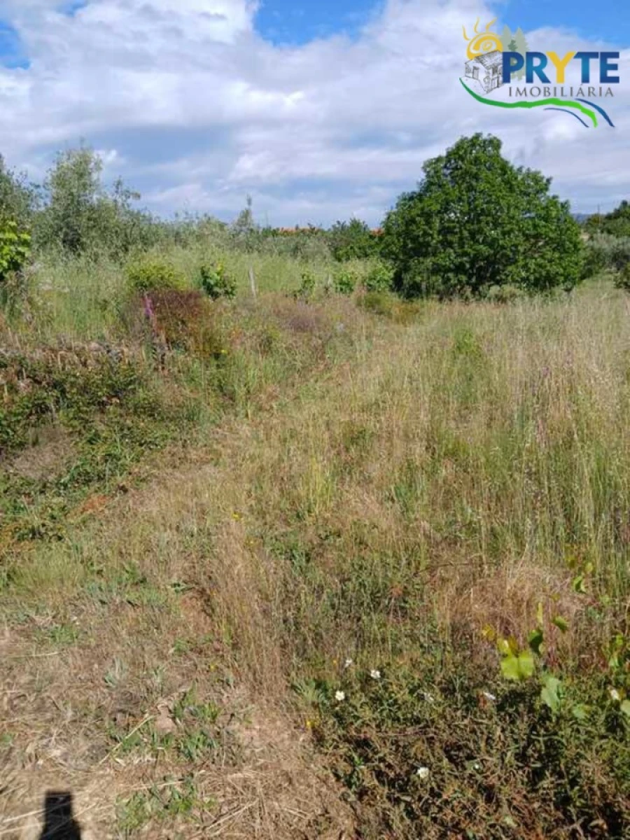Terreno para Venda em Montes da Senhora Foto 10