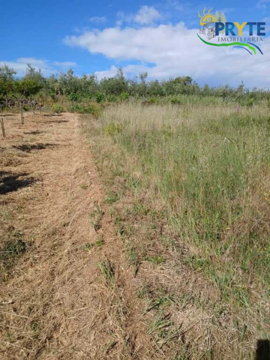 Terreno para Venda em Montes da Senhora Foto 12