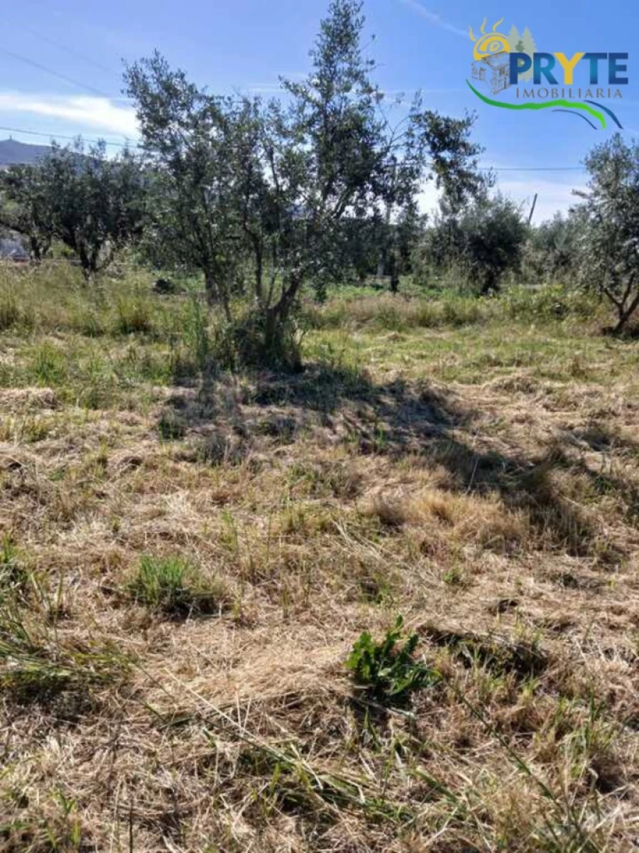 Terreno para Venda em Montes da Senhora Foto 14