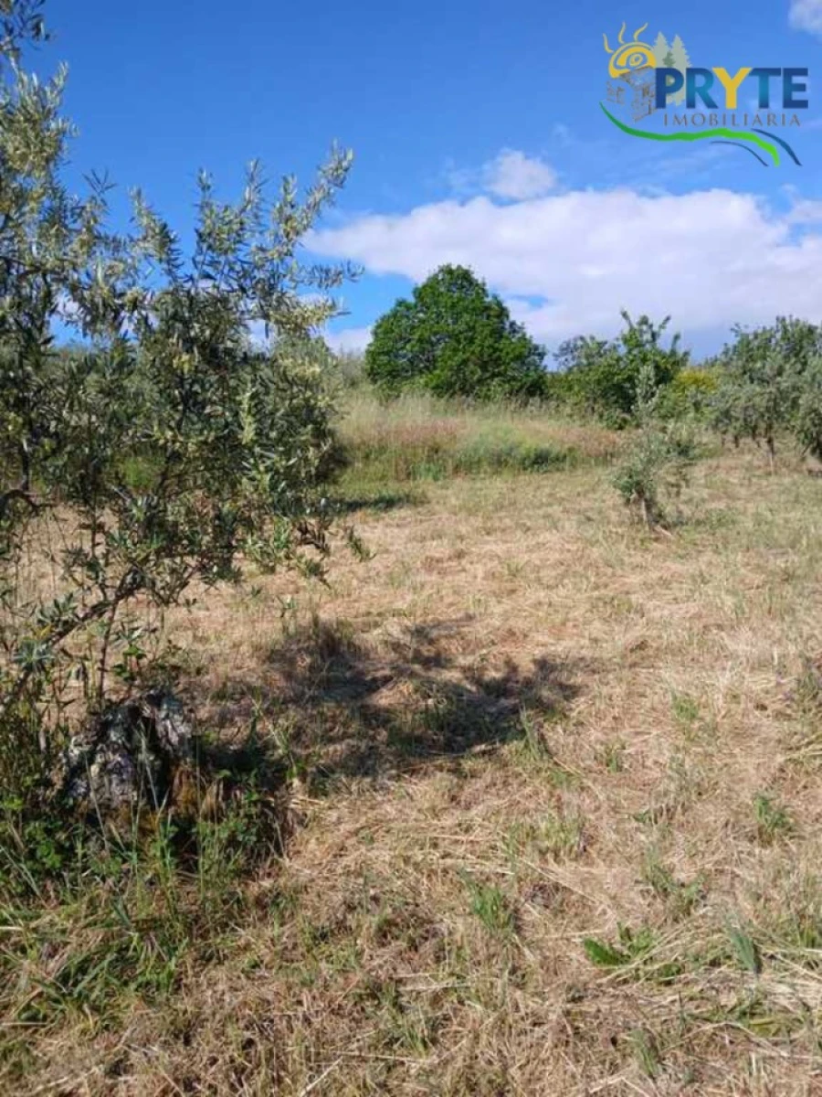 Terreno para Venda em Montes da Senhora Foto 18