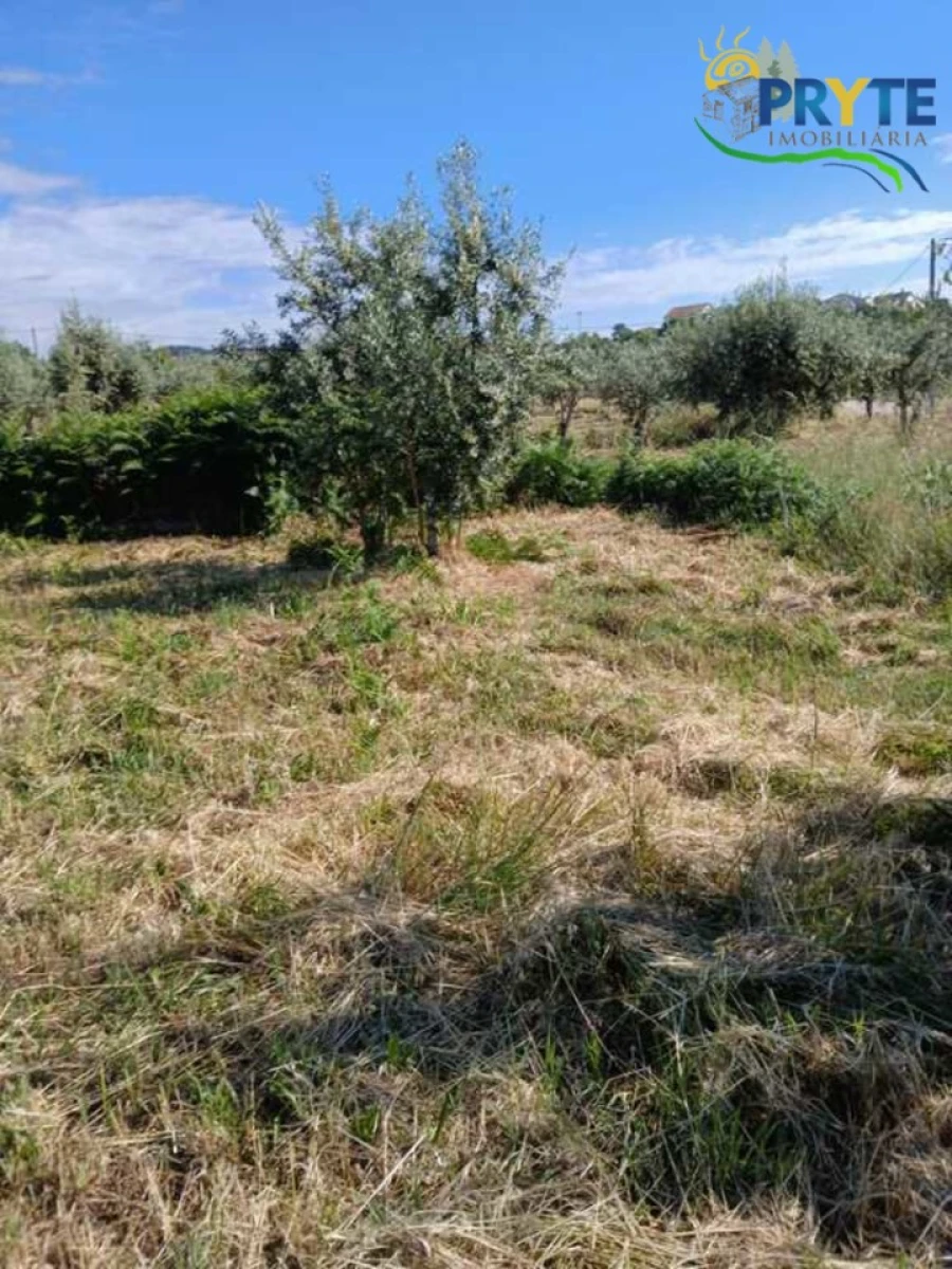 Terreno para Venda em Montes da Senhora Foto 20