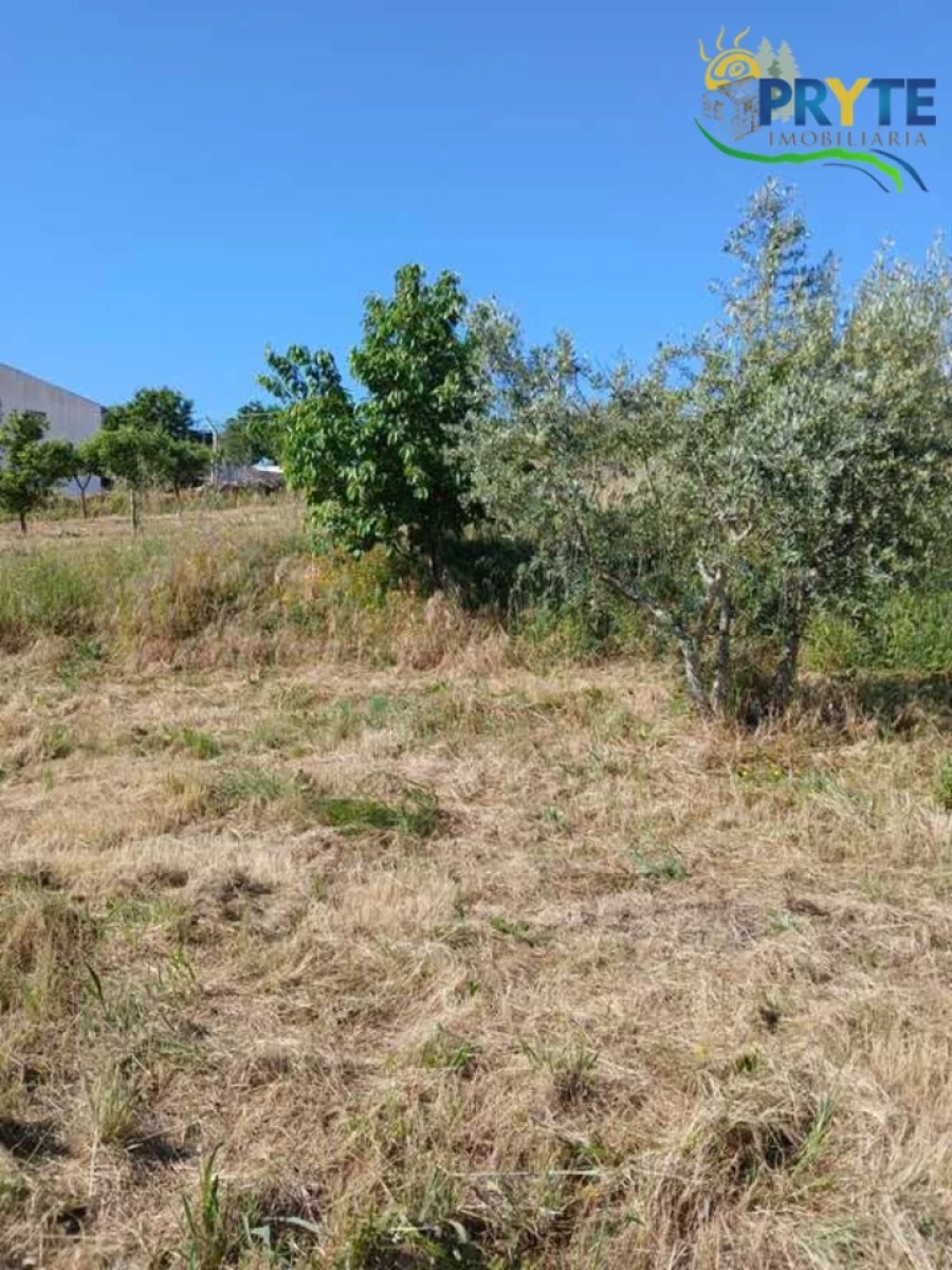 Terreno para Venda em Montes da Senhora Foto 22
