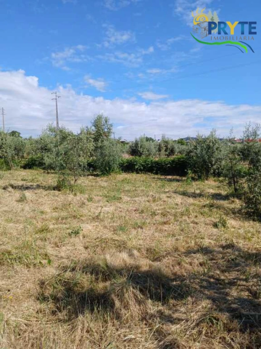 Terreno para Venda em Montes da Senhora Foto 25
