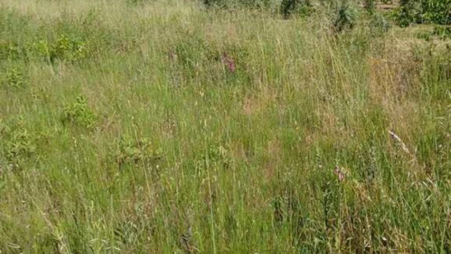 Terreno para Venda em Montes da Senhora