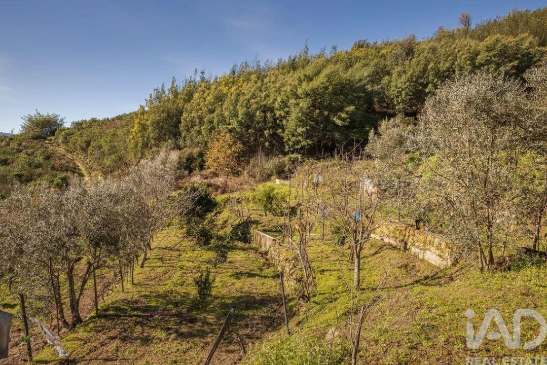 Terreno para Venda em Sandomil Foto 5