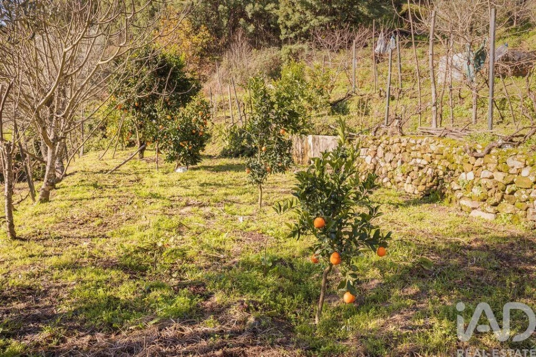 Terreno para Venda em Sandomil Foto 6