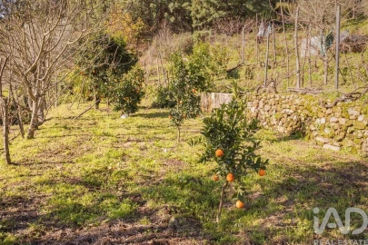 Terreno para Venda em Sandomil