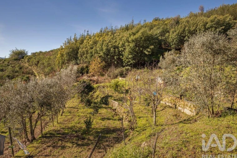 Terreno para Venda em Sandomil Foto 5
