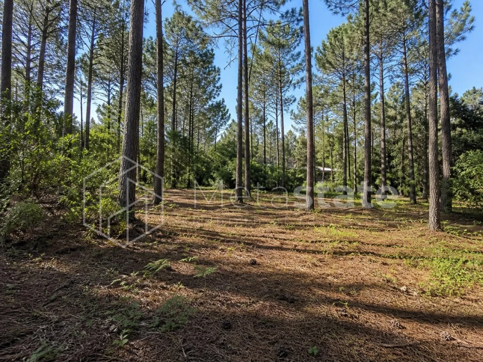 Terreno para Venda em Charneca de Caparica e Sobreda Foto 4