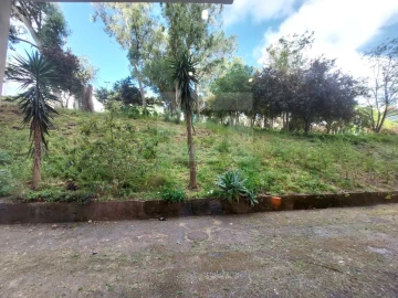 Apartamento T2 para Venda em Benfica