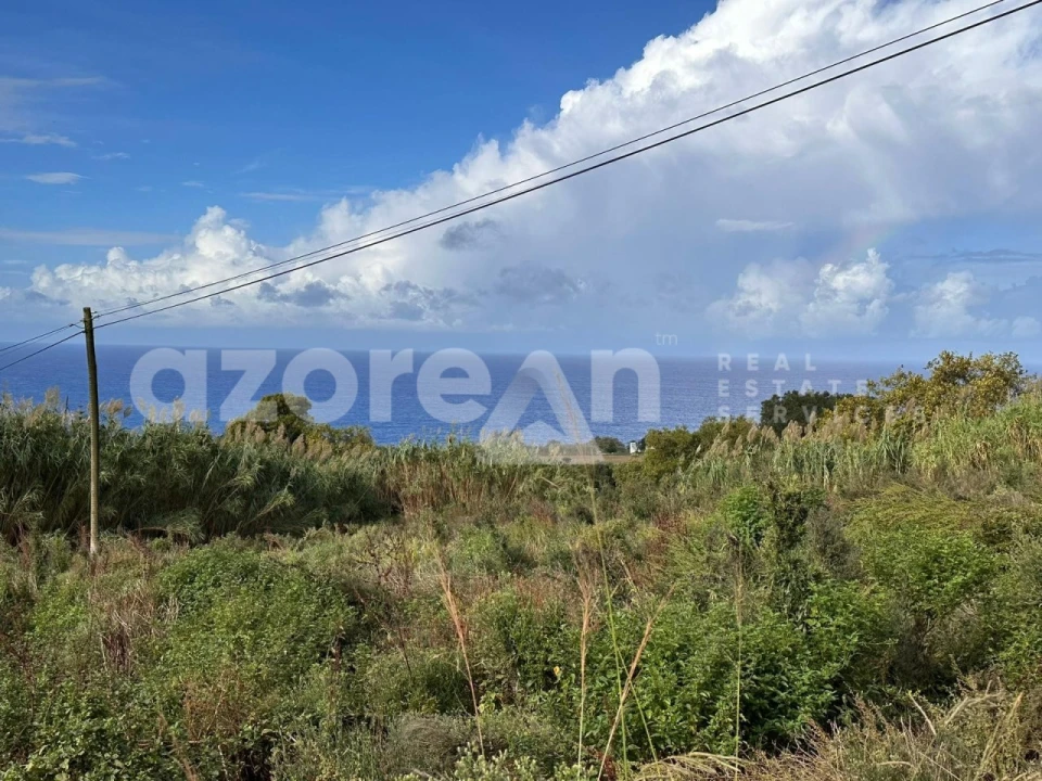 Terreno Agricola ou Rústico para Venda em Candelaria Foto 5