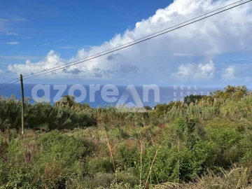 Terreno Agricola ou Rústico para Venda em Candelaria