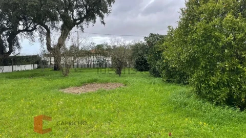 Moradia T3 para Venda em Glória do Ribatejo e Granho