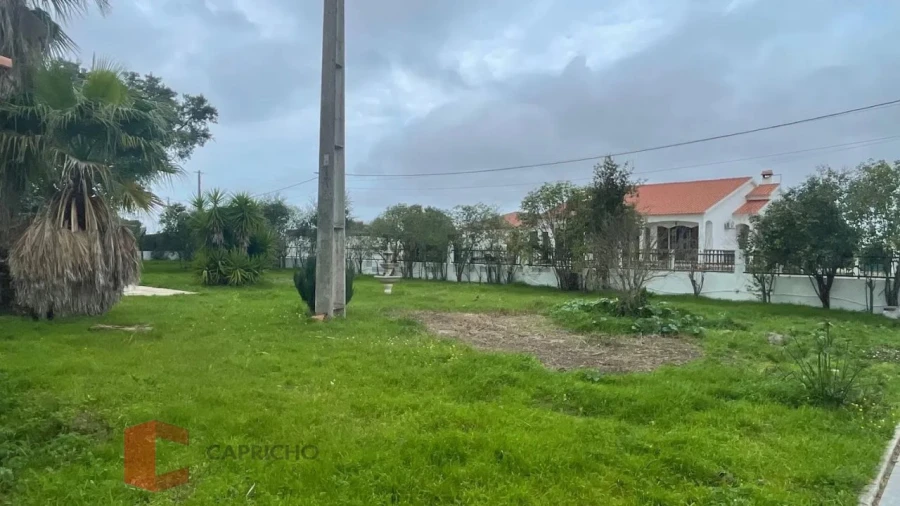 Moradia T3 para Venda em Glória do Ribatejo e Granho Foto 3