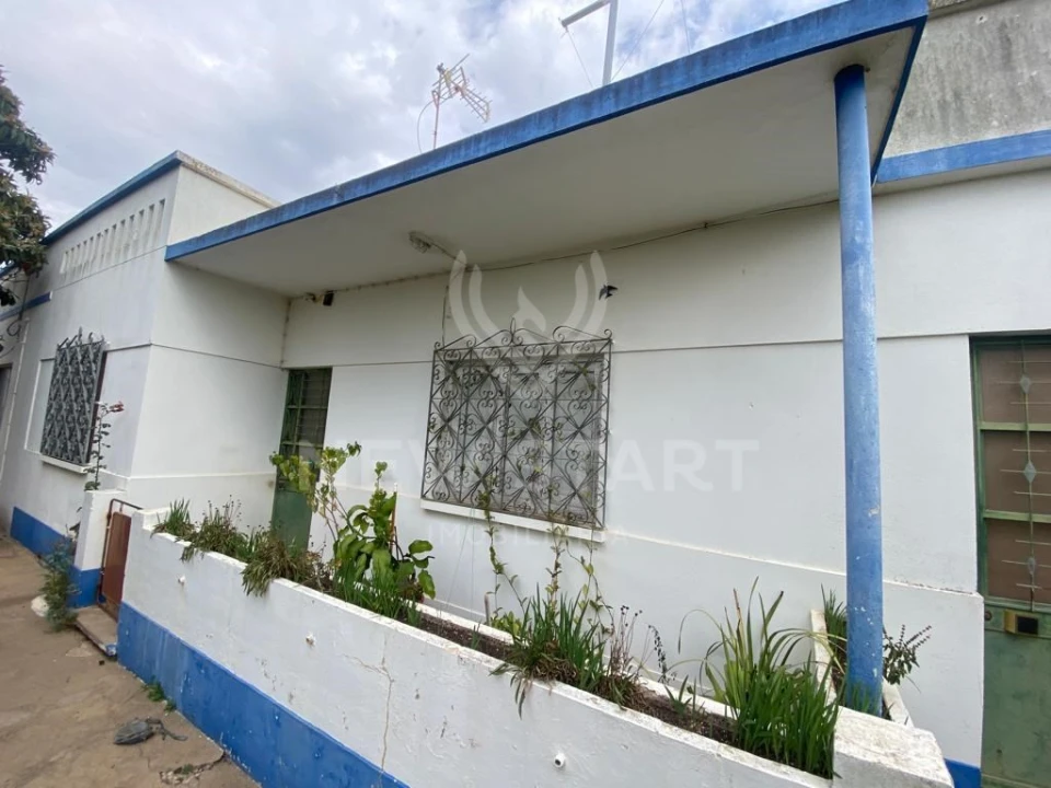 Terreno Misto para Venda em Pechão Foto 1