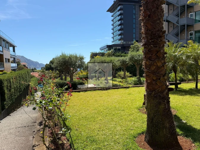 Apartamento T3 para Venda em Funchal (São Pedro) Foto 3
