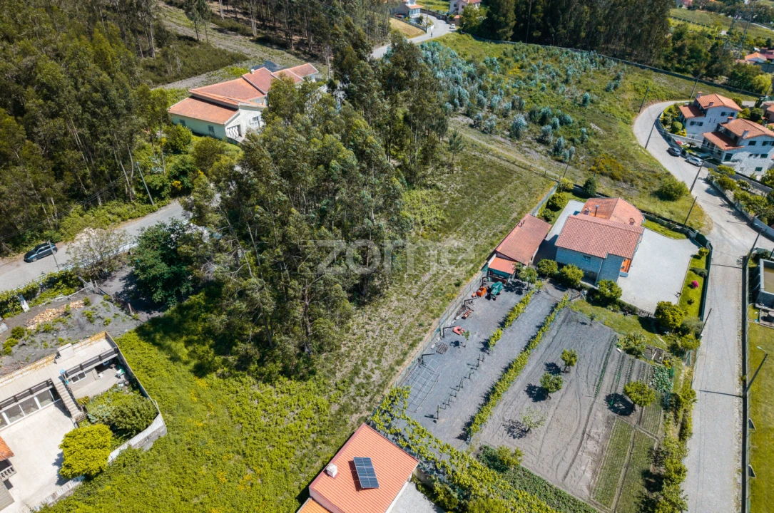 Terreno para Venda em Sobreira Foto 11