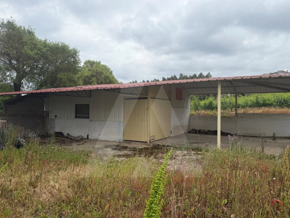 Moradia T4 para Venda em Vila Nova de Monsarros Foto 40