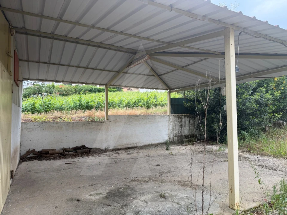 Moradia T4 para Venda em Vila Nova de Monsarros Foto 42