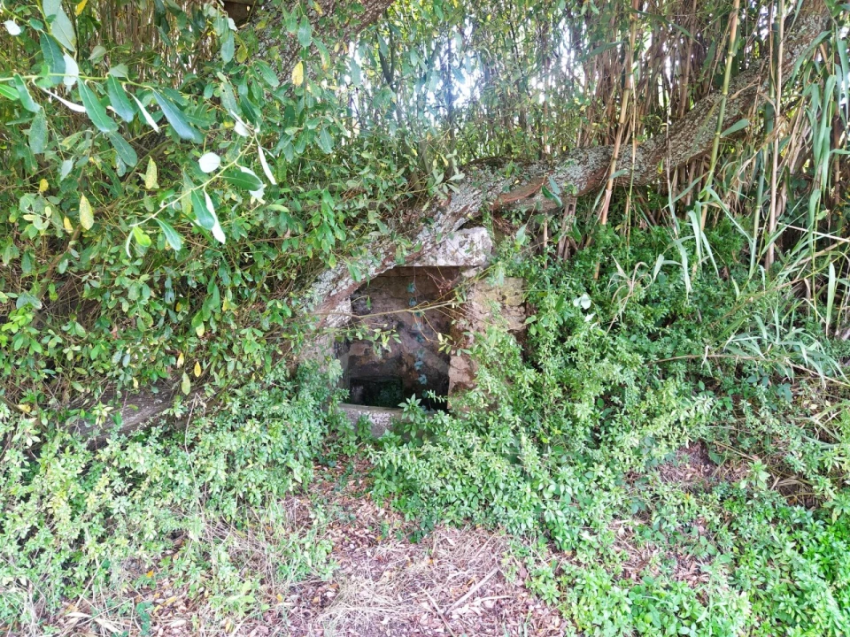 Moradia T4 para Venda em Usseira Foto 33