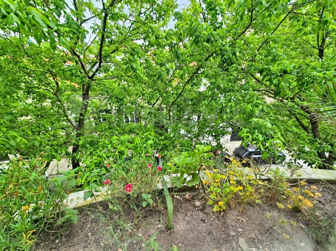 Apartamento T3 para Venda em Aldoar, Foz do Douro e Nevogilde Foto 19