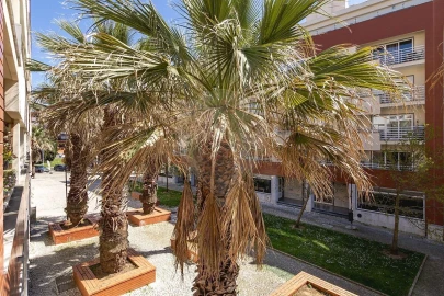 Apartamento T2 para Venda em São Domingos de Rana