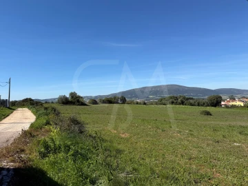 Terreno para Venda em Abrigada e Cabanas de Torres