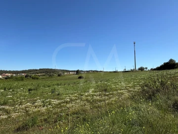Terreno para Venda em Abrigada e Cabanas de Torres