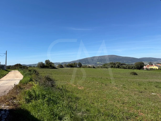 Terreno para Venda em Abrigada e Cabanas de Torres Foto 13