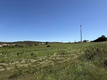 Terreno para Venda em Abrigada e Cabanas de Torres