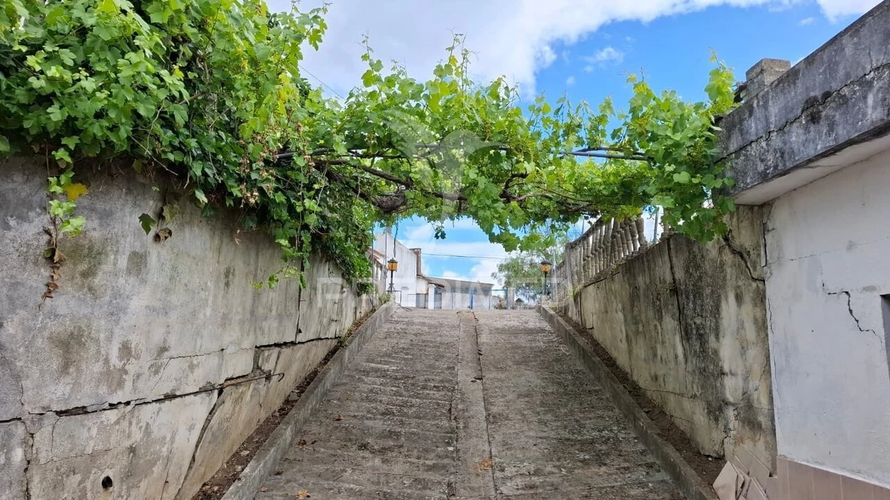 Terreno para Venda em Arneiro das Milhariças Foto 12