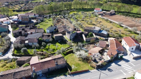 Terreno para Venda em Vale do Seixo e Vila Garcia